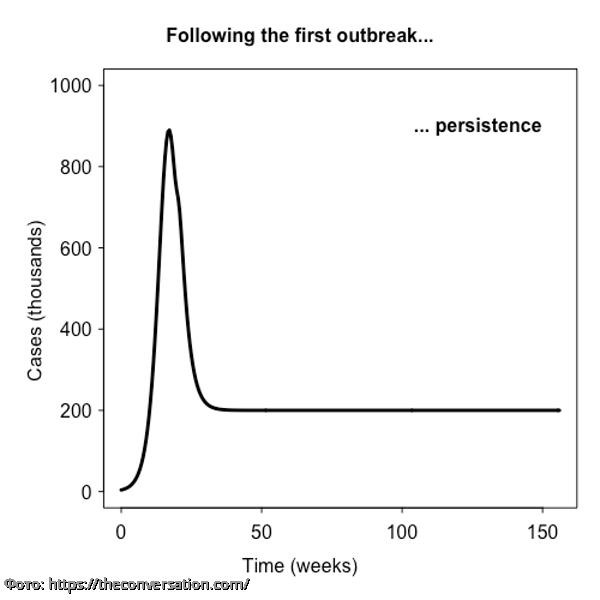 Британские ученые составили четыре графика развития пандемии коронавируса в мире