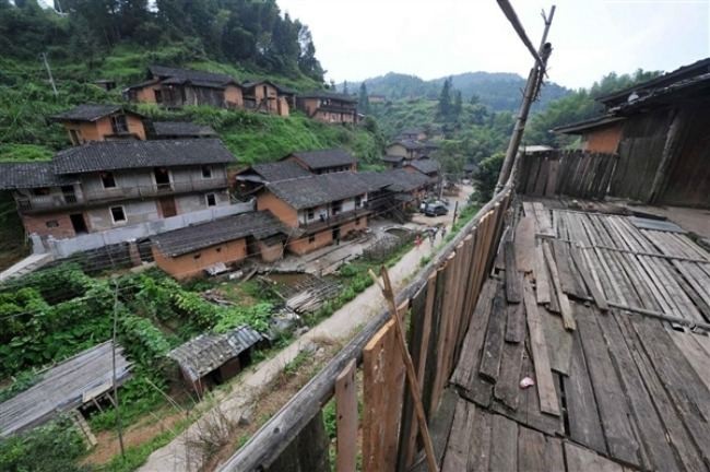 Загадка китайской деревни, где уже сто лет не видели ни одного комара