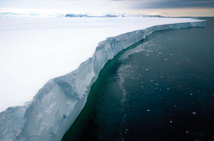 Ученые обнаружили новую морскую экосистему подо льдом Антарктиды